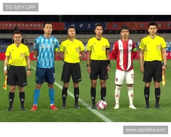 成都金牛公安对蓉城vs河南比赛中侮辱性行为两观众依法行拘处理